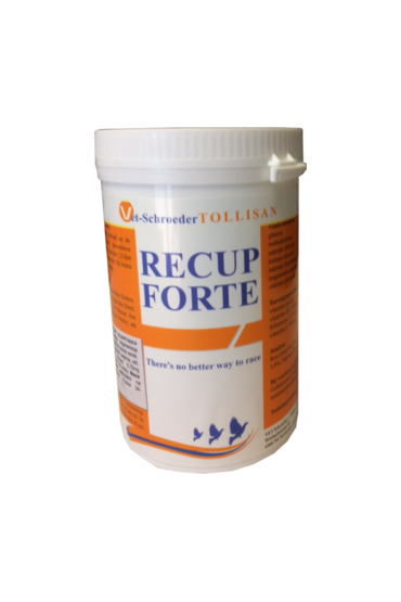 Recup-Forte 300g