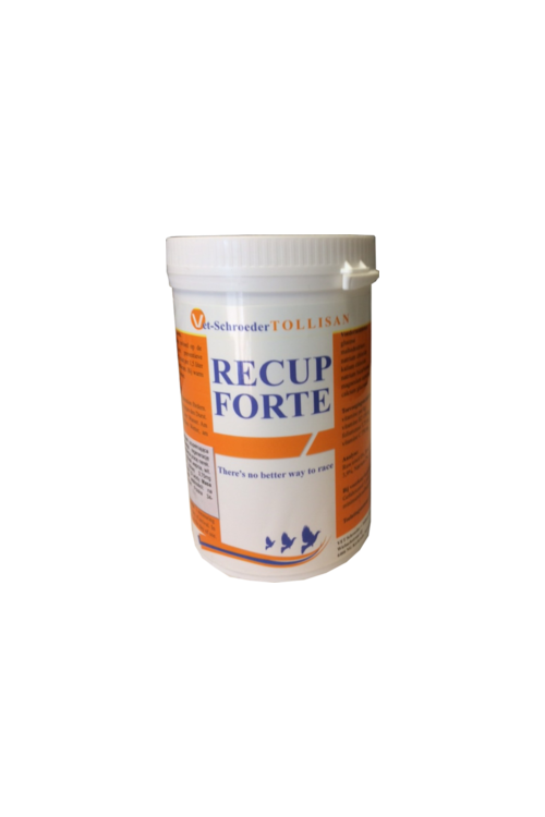 Recup-Forte 300g