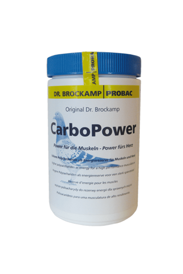 Carbo Power 500g