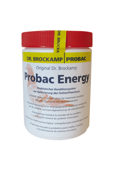 Probac Energy 500g