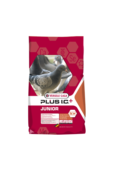 Junior Plus I.C 20kg