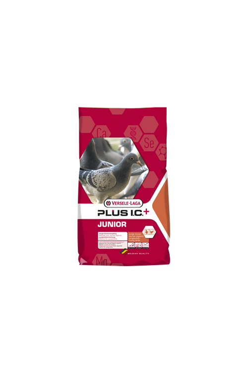 Junior Plus I.C 20kg