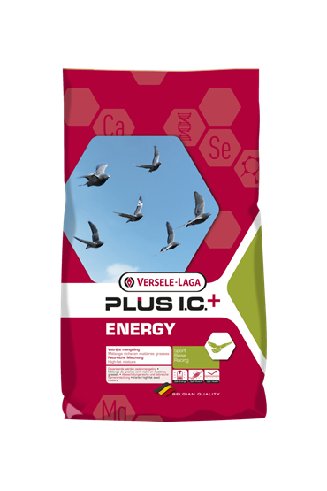 Energy Plus I.C 18 kg