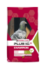 CHAMPION PlUS I.C 20 kg + 2 kg Gratis