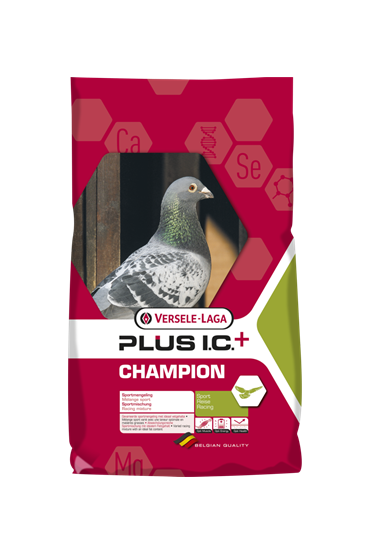 CHAMPION PlUS I.C 20 kg + 2 kg Gratis