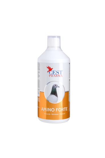 Cest Pharma - Amino Forte - 1l