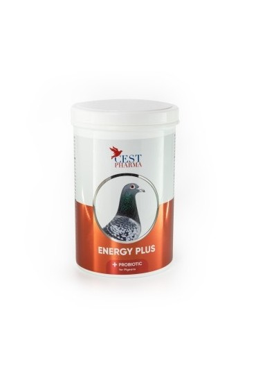 Cest Pharma - Energy Plus - 600g