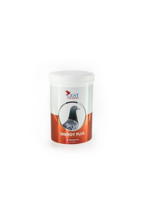 Cest Pharma - Energy Plus - 600g